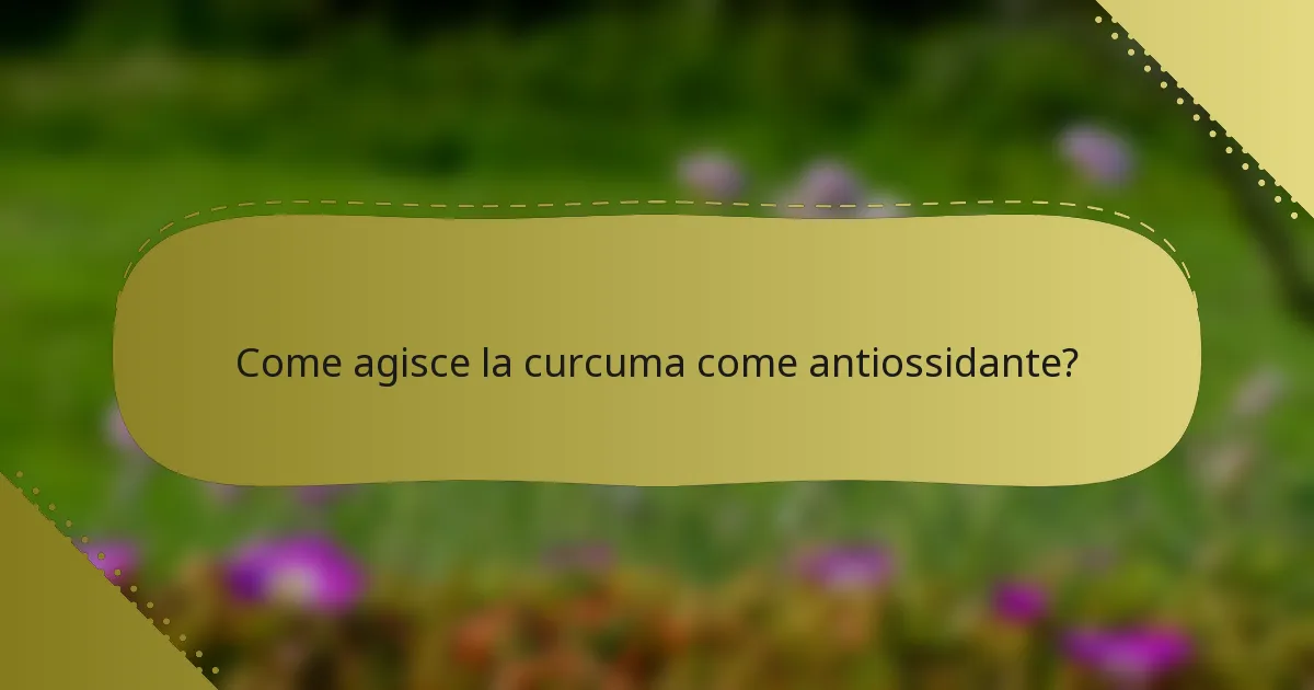 Come agisce la curcuma come antiossidante?