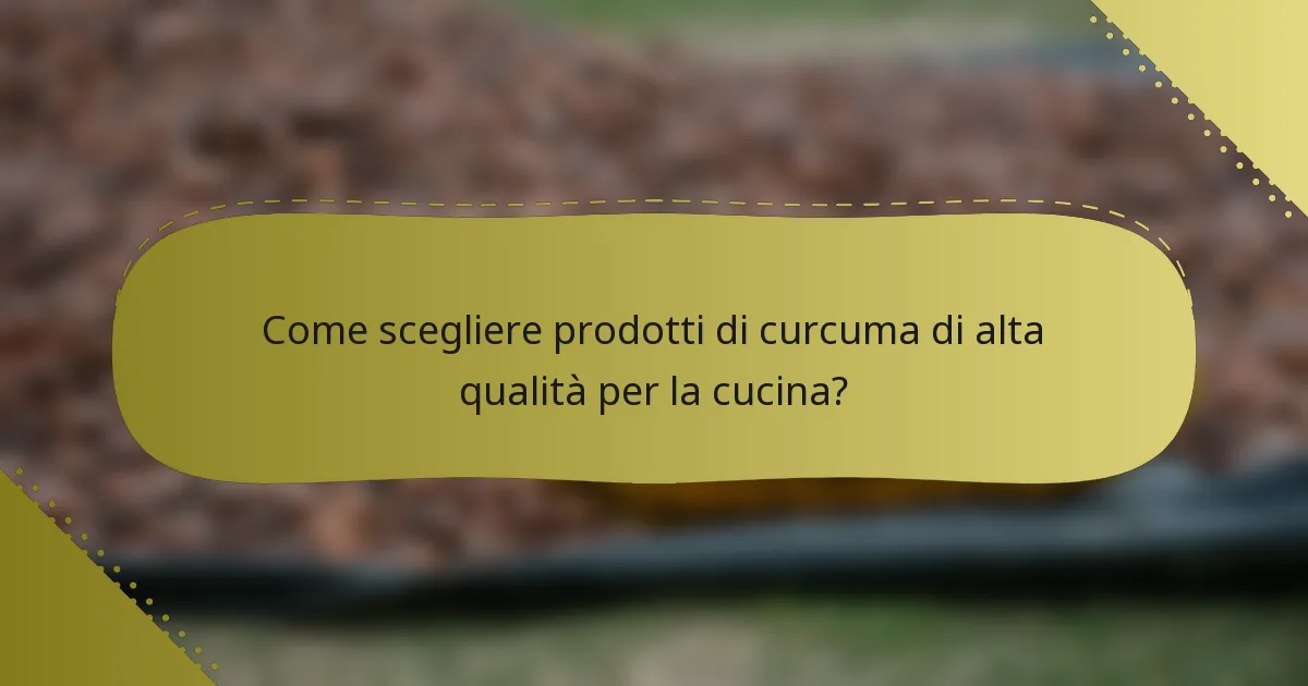 Come scegliere prodotti di curcuma di alta qualità per la cucina?